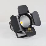 Durable Low Noise For Party Show Disco 200W LED COB Warm White Par Lights