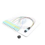 Single Mode 0.9mm lc MPO To SC Mtp Fanout Cable 0.5m 12 Fiber
