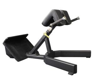 China High Quality 45 Degree Back Extension Roman Chair Bench Machine Fitness Equipment Back Extension Roman Chair factory