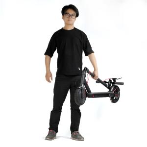 China 10 Inch Xiaomi 2 Wheel Folding Electric Scooter With A Dual Brake System factory