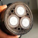 16/25/35/50/70/95/120/150/185 Custom Size 3-Core XLPE PVC Insulated Power Cable