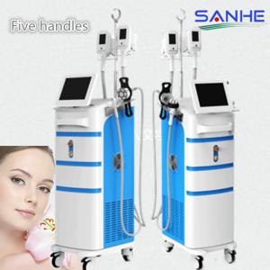 China Cryolipolysis Slimming Machine ,5 Handles Cryolipolysis Fat Freezing Machine / Cryolipolys factory