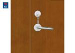 Emergency Exit Glass Fire Rated Double Leaf Wooden Door