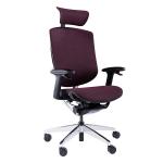 WFH Chair With 4D Armrests Adjustable Lumbar Support Headrest Swivel Executive