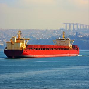 China International Ocean Freight forwarding Services LCL FCL Agent From China to Peru factory