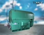 YKS450-2 Three Phase Asynchronous Motor High Voltage Electric Induction Motors