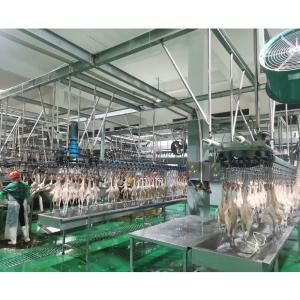 China 62*66*99CM Chicken Slaughtering Machine for Scalder Processing in South Africa Market factory