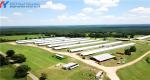 Broiler Poultry Prefab Houses Steel Structure Fully Automated Chicken Farming