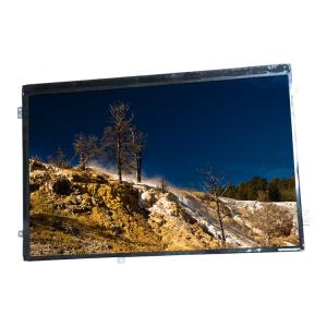 China HannStar Laptop LCD Screen Display Panel HSD101PWW2-A01 For ASUS TF201 factory