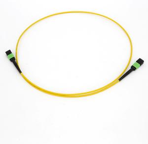 China SM MM MPO MTP Trunk Cable Male To Female Fiber Optic Trunk Cable factory