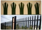 D / W Type Hot Dip Galvanised Palisade Fencing Various Colors For Your Garden