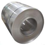 Hot Rolled Stainless Steel Strip Flexible S304 S316 S321 S409 Grade