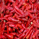 Erjingtiao Pepper Ingredients Chili Peppers Hot 8000-12000shu for Customer