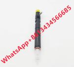 Ejbr04101d Volvo Fuel Injector Ejbr02101z 8200049876 166003978r Common Rail