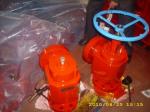 API 6A Positive Choke Assy