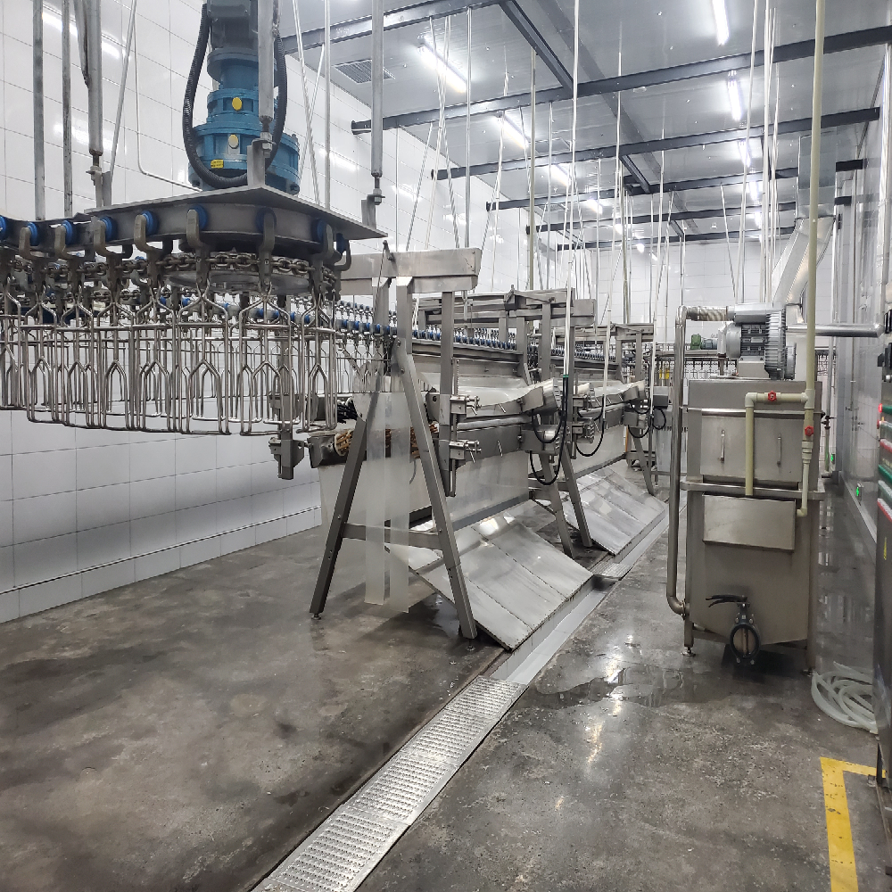 Streamlined Semi Auto Slaughter Machine Small Scale Poultry Processing Equipment