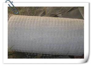 China Horizontal Plastic Climber Plant Supporting Net , Extrusion Type Green Plastic Netting factory