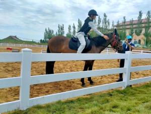 China Heavy Duty 3Rails Horse PVC Farm Fence Plastic Vinyl Ranch Paddock Horse Fence factory