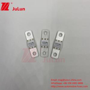 China A121601-50A ASTM 125VDC Electric Vehicle Electrical Protection Terminal Type Fuse factory