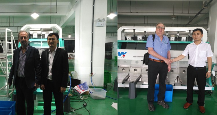 100-900KG/H Sort Machine Color for Macadamia Nut Wanlut Hazelnut
