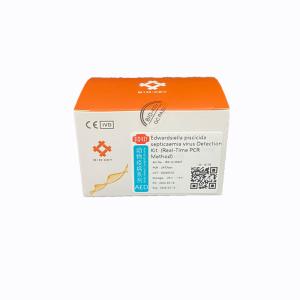 China Nucleic Acid Taq Pcr Kit Edwardsiella Piscicida Septicaemia Virus DNA Test factory
