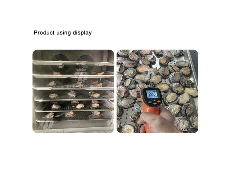 Automatic Stainless Steel Bun Quick-Freezer Food Seafood Quick-Freezer