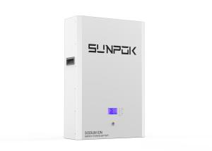 China 1 Hour Recharge Time Premium Sodium Ion with High Durability factory