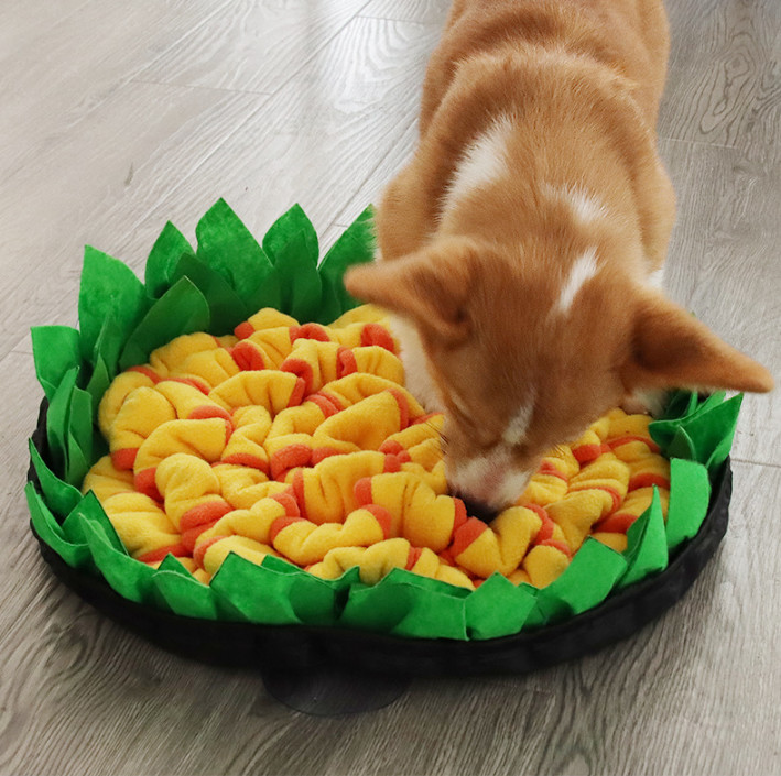 Customised Waterproof Non Slip 60X40cm Silicone PET Food Mat