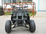 Air Cooled 125CC Youth Racing ATV Electric Start ATV 9500r/Min