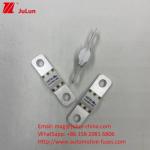 300A 125VDC High Breaking Capacity Ceramic Automotive Fuses for Power Conversion