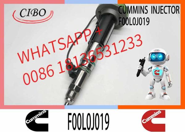 Construction Machinery Parts Fuel Injector for QSK19 Diesel Y431K05429