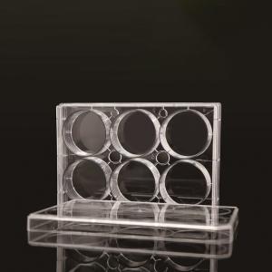 China 6 Well TC PCR Laboratory EDGE Cell Plates factory