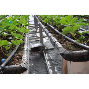 Sided Ladder PVC Soilless Hydroponic System Automatic Vertical Farming System