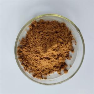 China Brunellae Spica P.E/runella vulgaris extract factory