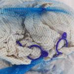 Health Certificate Lamb Goat Casing No Additives Wear Resistance
