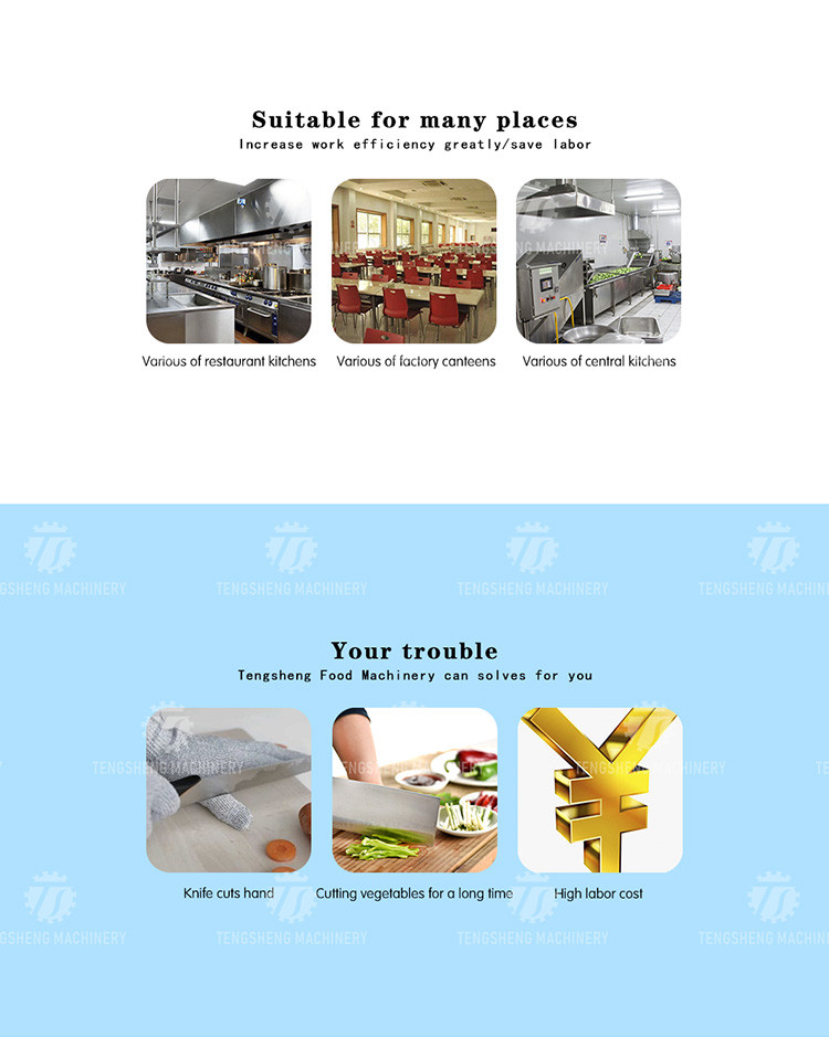 Multifunction Onion Slicer Vegetable Cutting Machine 100KG/H Capacity