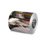 300 Series Steel Grade SS304L Stainless Steel Coils with Competitive at Best
