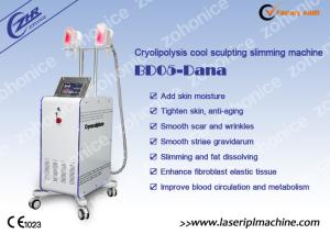 China 2 Changeable Handle Cryolipolysis Slimming Machine With Antifreezing Membrance factory