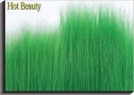 Green 100% Remy Virgin Human Hair , Straight Peruvian Weave Bundles
