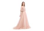 Flexible Sleeve Illusion Half Sleeve Evening Dresses V Neck Tulle Backless