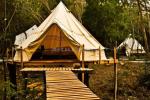 New Arrivals 4 to 6 People 850g PVC Cloth Hotel Tent Luxury Garden Igloo Dome