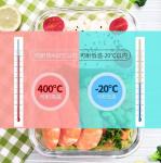 Borosilicate Pressed Glass Lunch Boxes With Locking Lids
