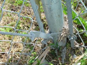 China chain link fence for the park and tree ,Hot Sale Chain Link Fence for Playground Park / Forest Protecting factory
