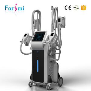 China Professional CE FDA approved beauty instruments 4 handles -15 – 5 celsius non invasive surgery machine for belly fat factory