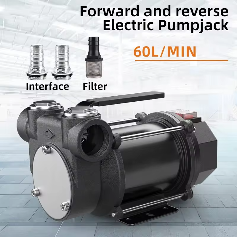 High Flow Compact Electric Oil Diesel Pumps 220V 60L/Min
