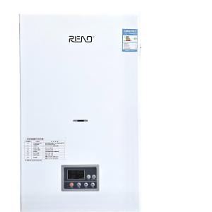 China NG Lpg Gas Combi Boiler 20kw Wall Hung Gas Boiler LED Displayer factory