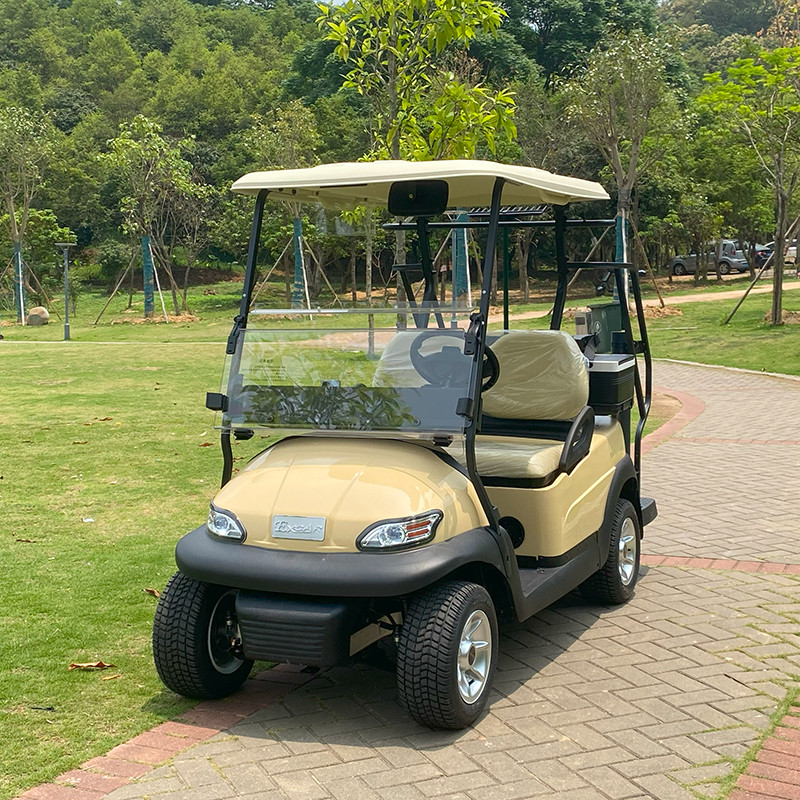 2 Passenger Electric Golf Cart 48V Lithium Battery