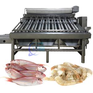 China Durable 380V Fish Grading Equipment , Anti Erosion Fish Sorting Machine factory
