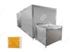 Factory Price Frozen Mango Production Line Fruit And Vegetable Processing