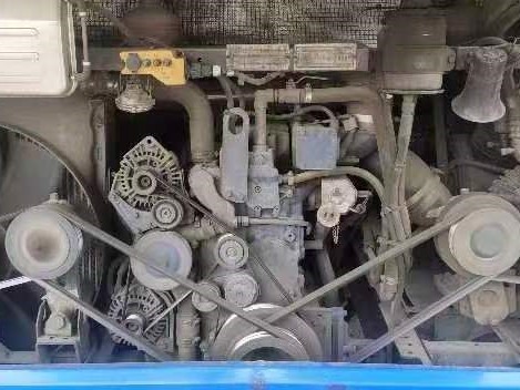 Used Luxury Buses 47 Seats 2 Passenger Doors 11 Meters Long Rare Engine A/C 2nd Hand Young Tong Bus ZK6117